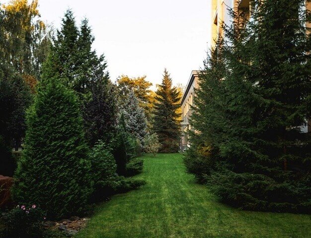 Санаторий Янтарь